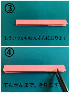 4A36F805-B745-4C01-BDB2-8807F7661EAD.jpeg