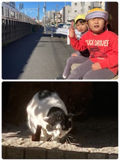 7EFECF29-B40F-4CB6-AFD1-3515BCBABD83.jpeg
