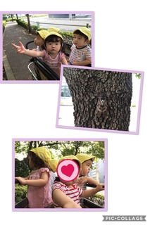 E4CF05DF-0A4F-4542-9FD1-E146FB288D2F.jpeg