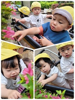 FDD0505B-8B8F-4CCC-BBB7-4A96F299C94A.jpeg