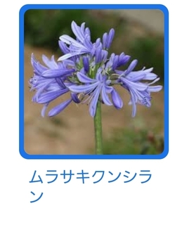 Screenshot_20210623-131019_Google.jpg